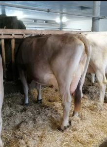 353cb72f-864b-4ca9-a8ee-13e36d6bb85d